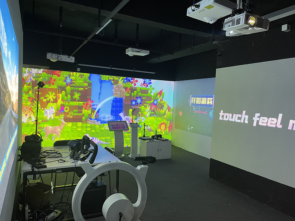 الإسقاط التفاعلي